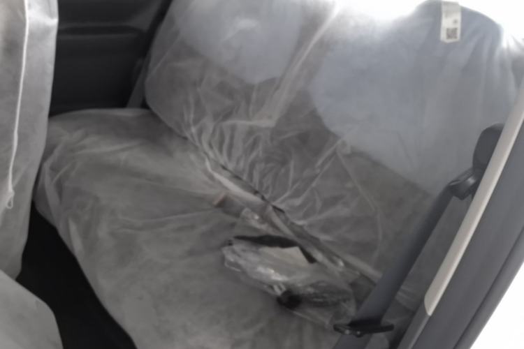 Used Geely Galaxy Panda 2024 Panda Mini 200km Endurance Bear Left Rear Seat