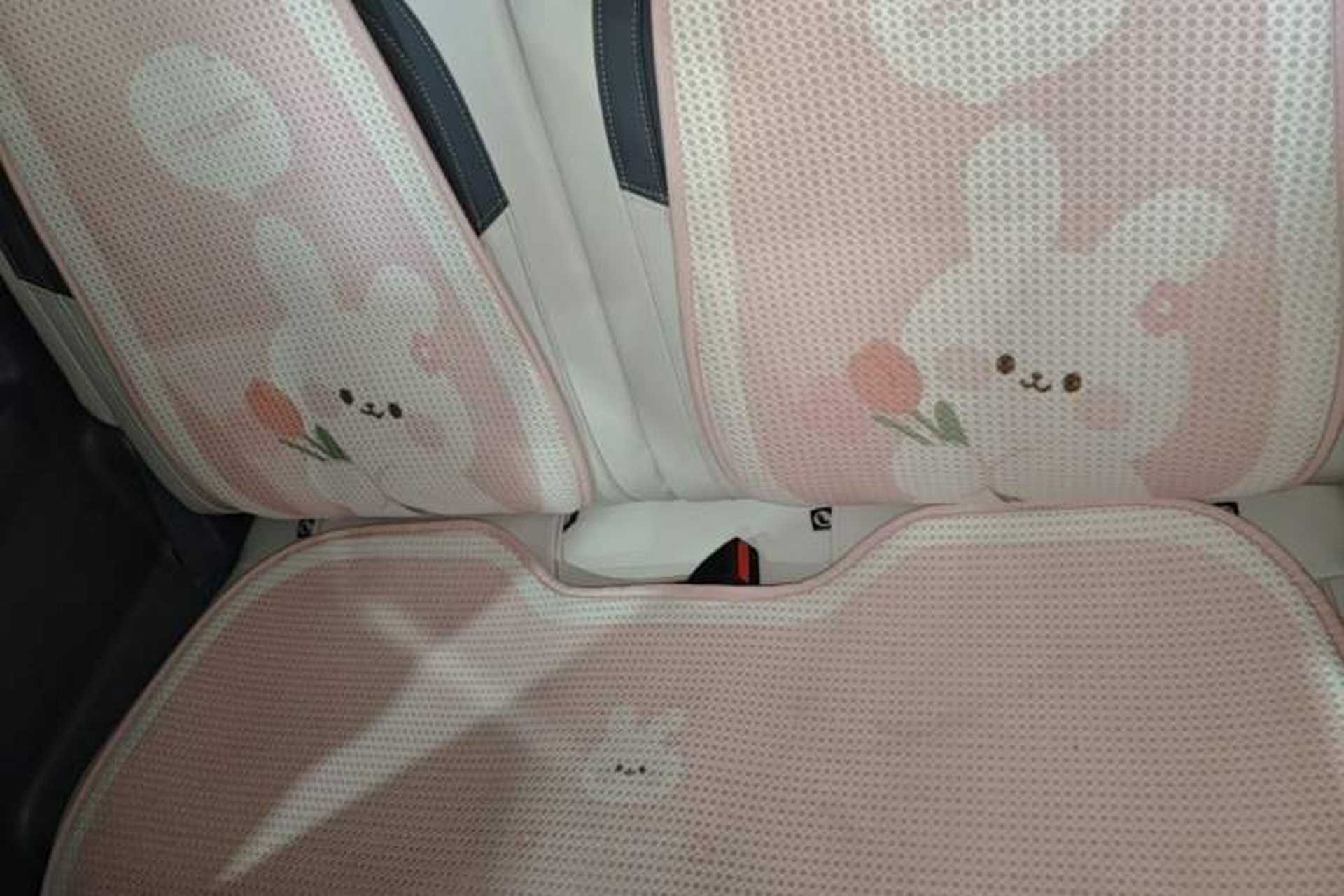 Used Geely Galaxy Panda 2024 200km Panda Rider Left Rear Seat