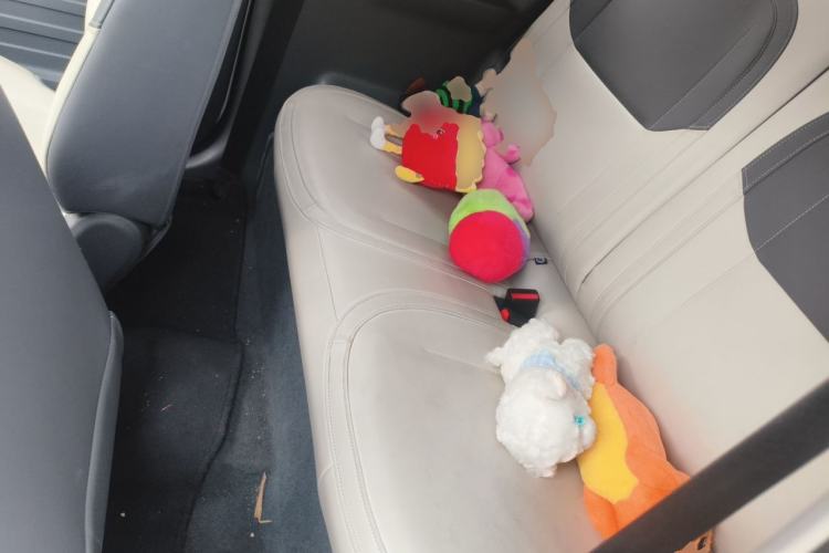 Used Geely Galaxy Panda 2024 200km Panda Rider Left Rear Seat