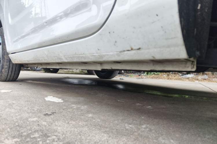 Used Geely Galaxy Panda 2024 Panda Mini 200km Endurance Bear Left Side Sill