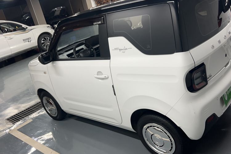Used Geely Galaxy Panda 2024 Panda Mini 200km Endurance Bear Left Side
