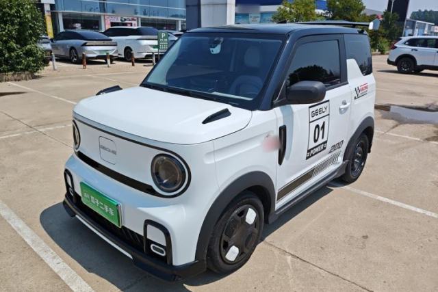 Used Geely Galaxy Panda 2024 200km Panda Kart