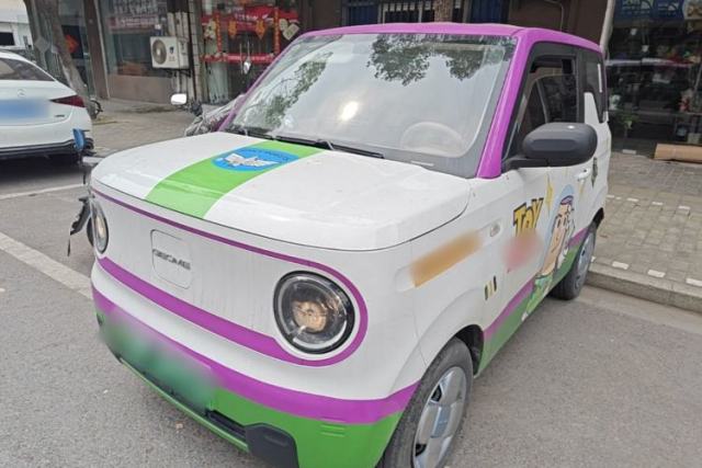 Used Geely Galaxy Panda 2024 Panda Mini 200km Endurance Bear