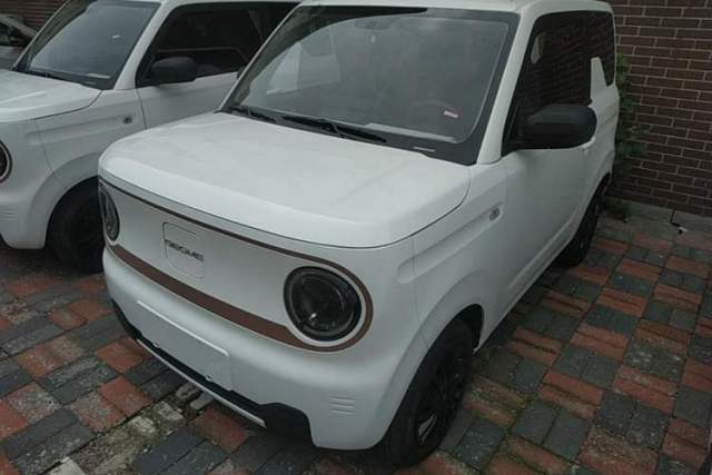 Geely Galaxy Panda 2024 Panda Mini 200km Endurance Bear usado