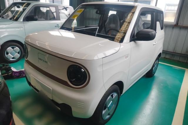 Used Geely Galaxy Panda 2024 Panda Mini 200km Longteng PRO Edition