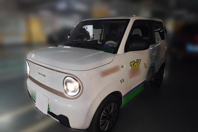 Used Geely Galaxy Panda 2024 Panda Mini 200km Endurance Bear