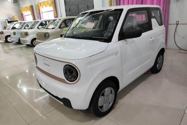 Used Geely Galaxy Panda 2024 Panda Mini 200km Endurance Bear