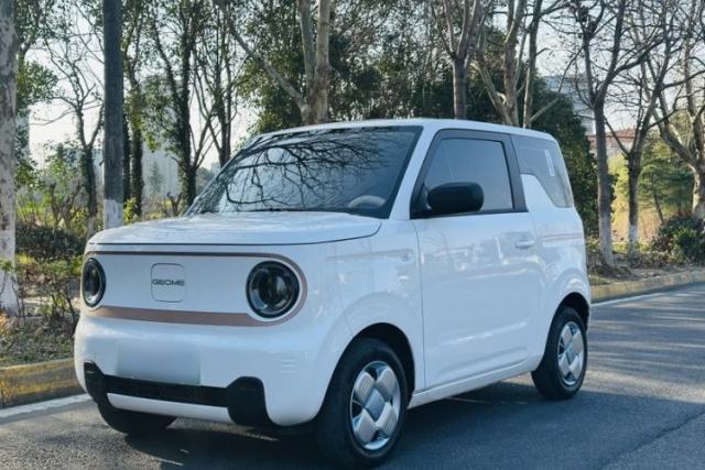 Used Geely Galaxy Panda 2024 Panda Mini 200km Endurance Bear