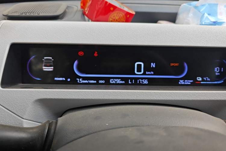 Used Geely Galaxy Panda 2024 Panda Mini 200km Endurance Bear Odometer Close Up