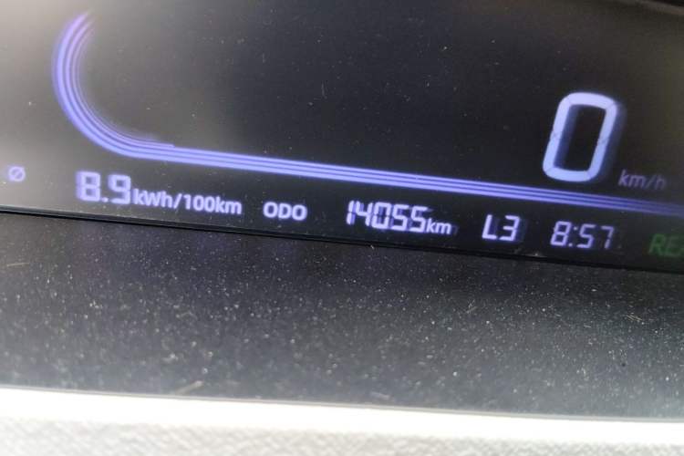Used Geely Galaxy Panda 2024 Panda Mini 200km Endurance Bear Odometer Close Up