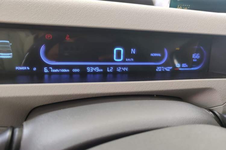 Used Geely Galaxy Panda 2024 Panda Mini 200km Endurance Bear Odometer Close Up