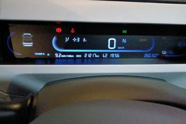 Used Geely Galaxy Panda 2024 Panda Mini 200km Endurance Bear Odometer Close Up