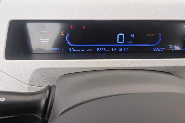 Used Geely Galaxy Panda 2024 Panda Mini 200km Endurance Bear Odometer Close Up