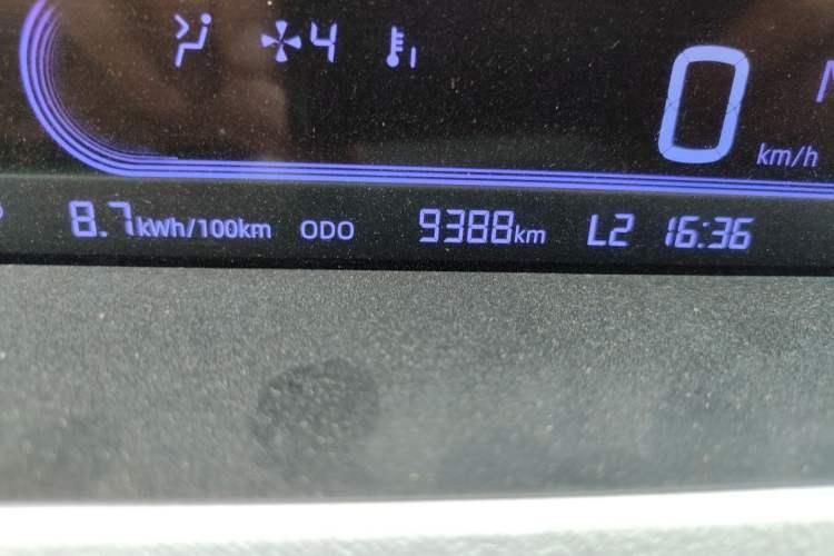Used Geely Galaxy Panda 2024 Panda Mini 200km Endurance Bear Odometer Close Up