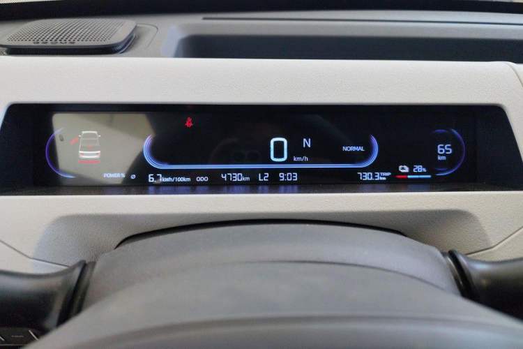 Used Geely Galaxy Panda 2024 Panda Mini 200km Endurance Bear Odometer Close Up