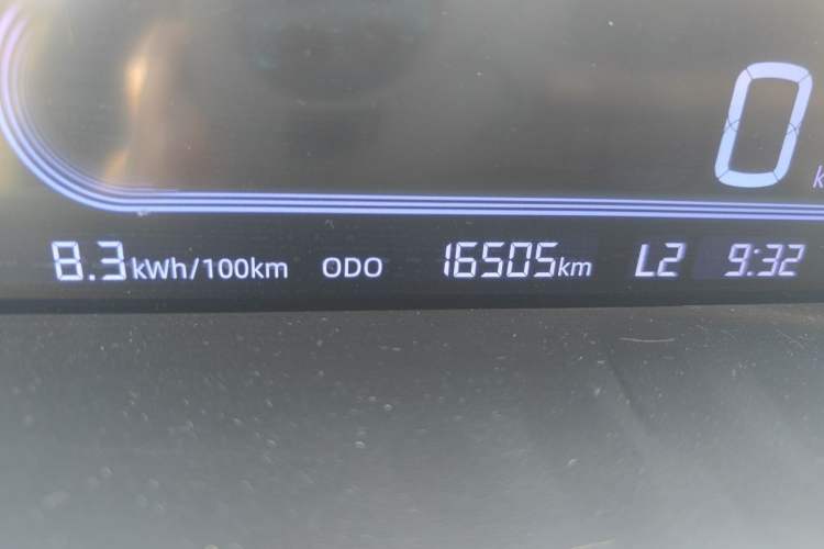 Used Geely Galaxy Panda 2024 Panda Mini 200km Endurance Bear Odometer Close Up