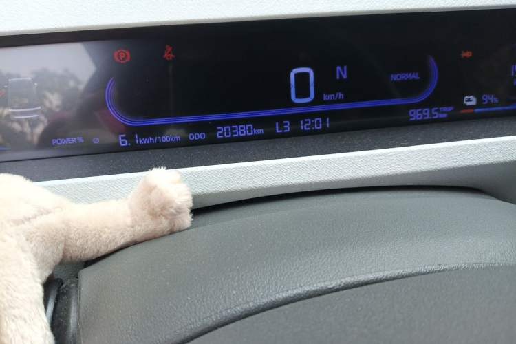 Used Geely Galaxy Panda 2024 Panda Mini 200km Endurance Bear Odometer Close Up
