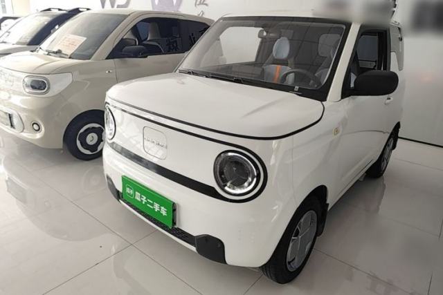 Geely Galaxy Panda 2024 Panda Mini 200km Endurance Bear usado