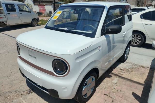 Used Geely Galaxy Panda 2024 Panda Mini 200km Endurance Bear