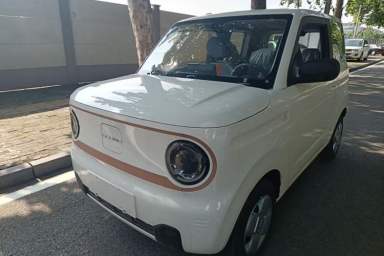 Used Geely Galaxy Panda 2024 Panda Mini 200km Endurance Bear