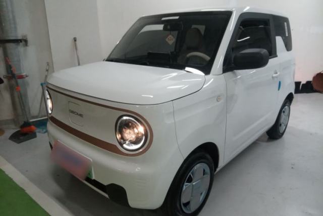 Used Geely Galaxy Panda 2024 Panda Mini 200km Endurance Bear