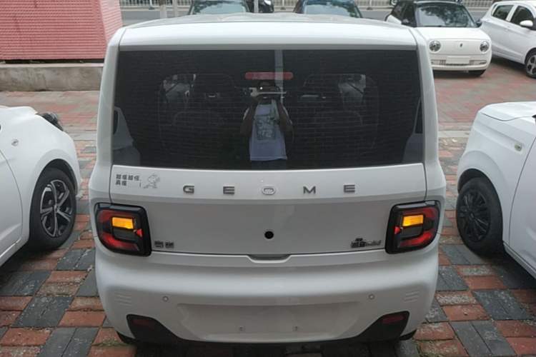 Used Geely Galaxy Panda 2024 Panda Mini 200km Endurance Bear Rear