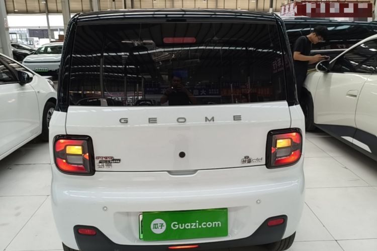 Used Geely Galaxy Panda 2024 Panda Mini 200km Endurance Bear Rear