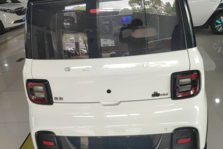 Used Geely Galaxy Panda 2024 200km Panda Kart Rear