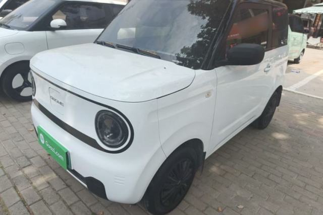 Used Geely Galaxy Panda 2024 Panda Mini 200km Endurance Bear
