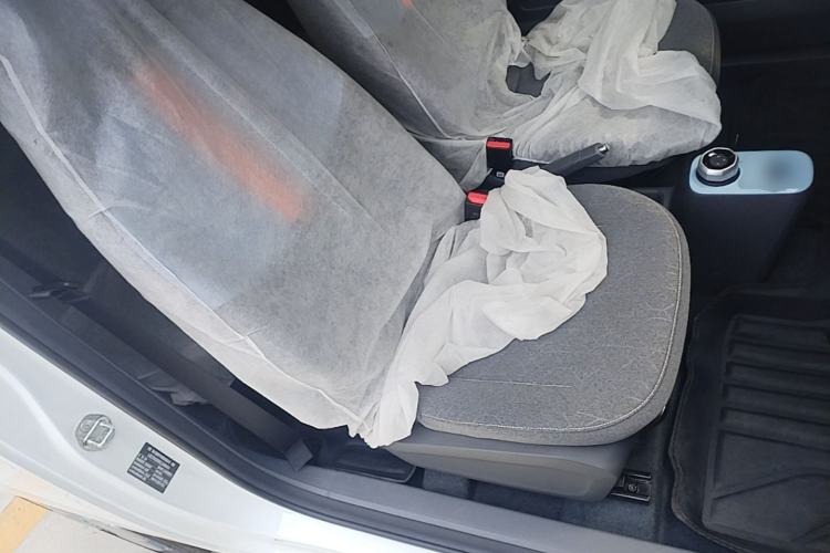 Used Geely Galaxy Panda 2024 Panda Mini 200km Endurance Bear Right Front Seat