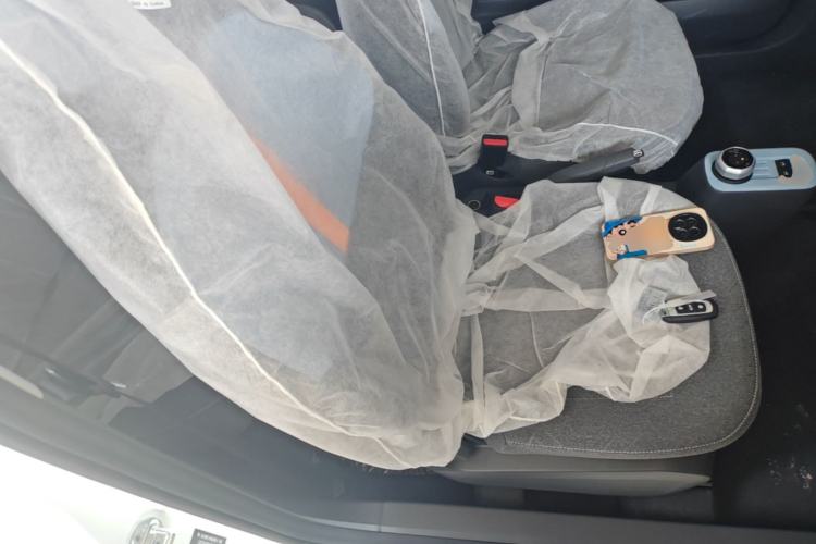 Used Geely Galaxy Panda 2024 Panda Mini 200km Endurance Bear Right Front Seat