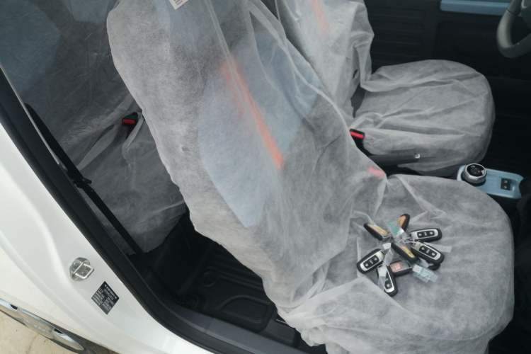 Used Geely Galaxy Panda 2024 Panda Mini 200km Endurance Bear Right Front Seat