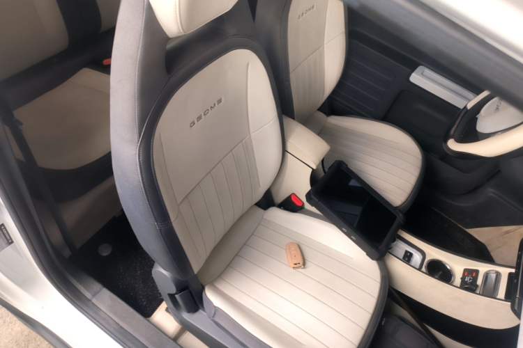 Used Geely Galaxy Panda 2024 200km Panda Kart Right Front Seat