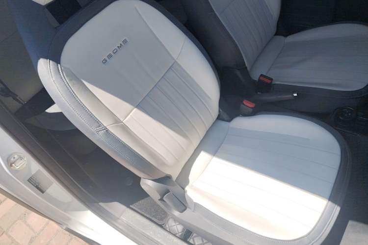 Used Geely Galaxy Panda 2024 200km Panda Kart Right Front Seat