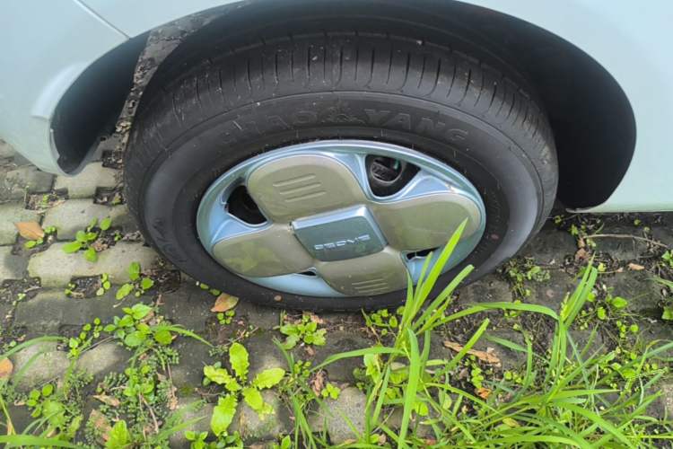 Used Geely Galaxy Panda 2024 Panda Mini 200km Endurance Bear Right Rear Wheel Hub