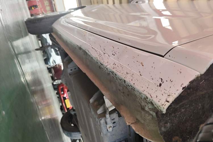 Used Geely Galaxy Panda 2024 Panda Mini 200km Endurance Bear Right Side Sill