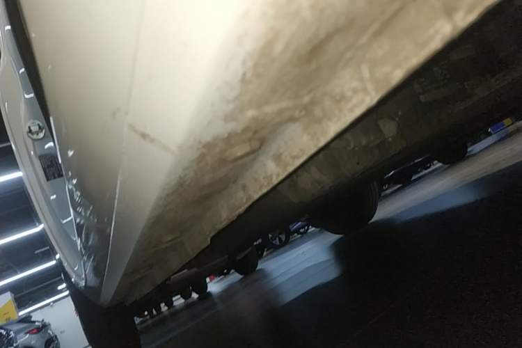 Used Geely Galaxy Panda 2024 Panda Mini 200km Endurance Bear Right Side Sill