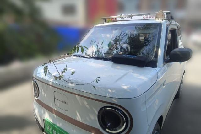 Used Geely Galaxy Panda 2024 Panda Mini 200km Endurance Bear