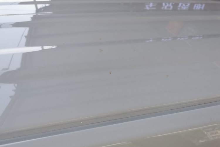 Used Geely Galaxy Panda 2024 Panda Mini 200km Endurance Bear Roof