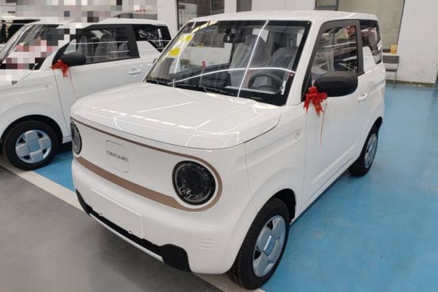 Used Geely Galaxy Panda 2024 Panda Mini 200km Endurance Bear
