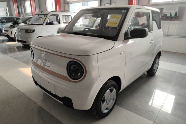 Used Geely Galaxy Panda 2024 Panda Mini 200km Endurance Bear