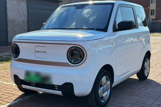 Used Geely Galaxy Panda 2024 Panda Mini 200km Endurance Bear
