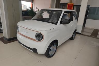 Used Geely Galaxy Panda 2024 Panda Mini 200km Endurance Bear