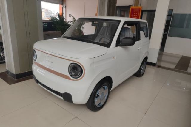 Used Geely Galaxy Panda 2024 Panda Mini 200km Endurance Bear