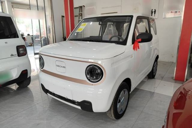 Used Geely Galaxy Panda 2024 Panda Mini 200km Endurance Bear