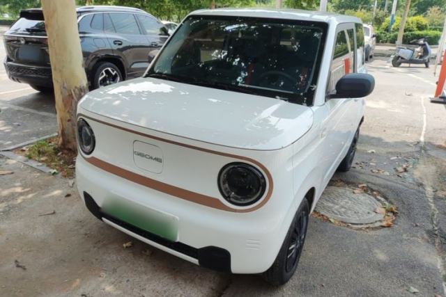 Used Geely Galaxy Panda 2024 Panda Mini 200km Endurance Bear