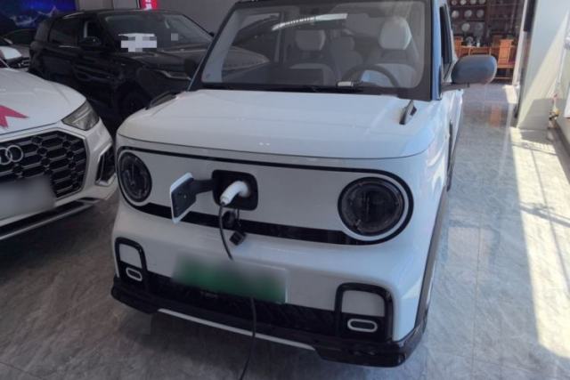 Used Geely Galaxy Panda 2024 200km Panda Kart