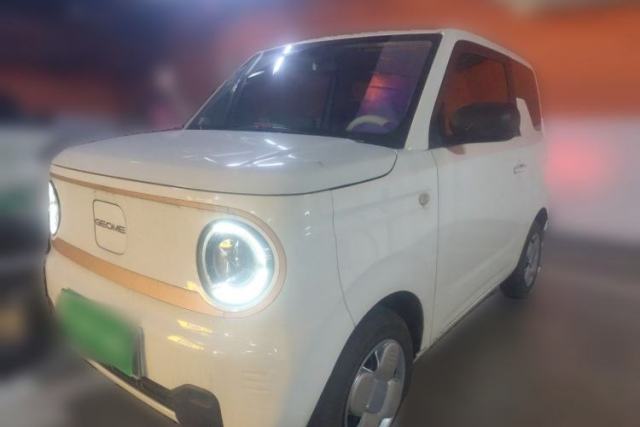 Used Geely Galaxy Panda 2024 Panda Mini 200km Endurance Bear