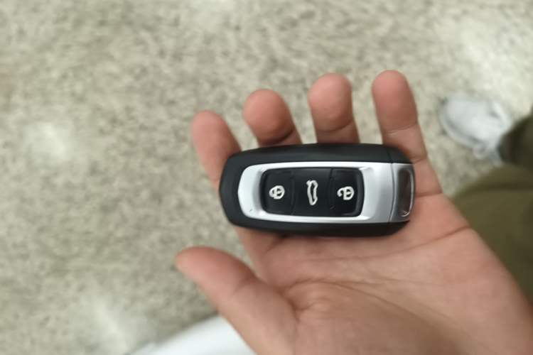 Used Geely Galaxy Panda 2024 Panda Mini 200km Endurance Bear Vehicle Key