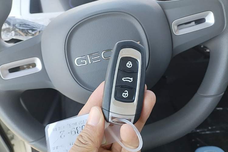 Used Geely Galaxy Panda 2024 Panda Mini 200km Endurance Bear Vehicle Key